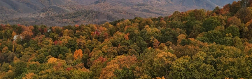 Best Places to See Mountain Views in Gatlinburg