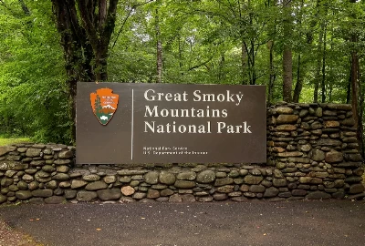 Guided Splendor: Exploring the Wonders of Great Smoky Mountains