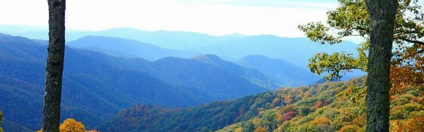 Nature Spots in Gatlinburg That Feel Like an Escape