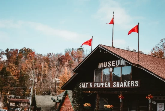 The Complete Guide To Gatlinburg Salt And Pepper Museum