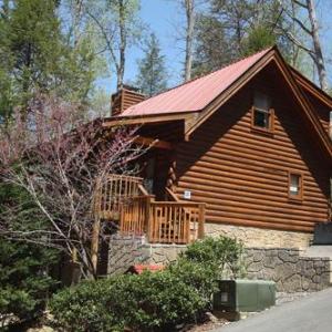 Bears Den 2 Bedrooms Jetted tub King Beds Hot tub WiFi Sleeps 6 Tennessee