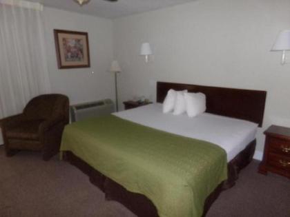 Reagan Resorts Inn - image 3