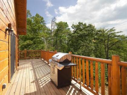 Mountain Laurel Holiday home - image 5