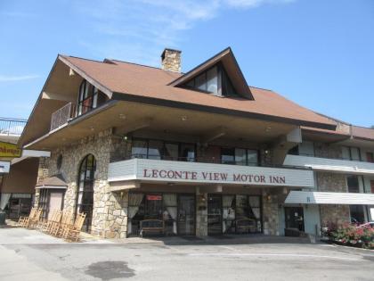 LeConte View Motel - image 14