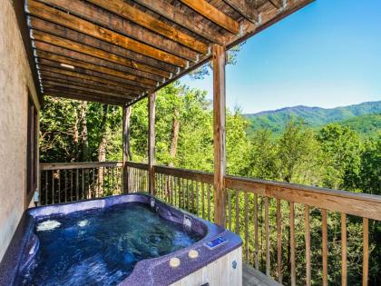 Majestic View 1 Bedroom Sleeps 2 Jetted Tub Mountain View Hot Tub - image 1