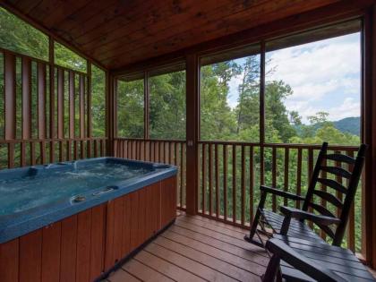 A Walk in the Clouds 1 Bedroom Sleeps 4 Pool Table Hot Tub Pets - image 18