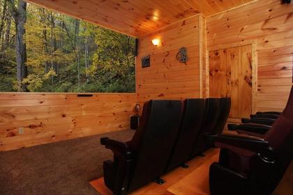 Bear's Eye View 4 Bedrooms Sleeps 14 Home Theater Gaming Hot Tub - image 6