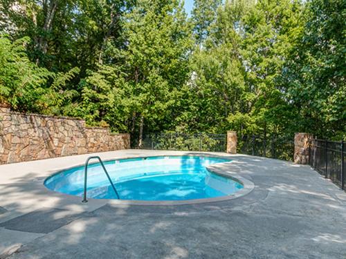 Above the Clouds II 4 Bedrooms Sleeps 11 View Pet Friendly Pool Golf - image 2