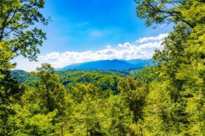 Bear Vista Gatlinburg Tennessee