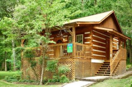 Cuddle Inn #1529 by Aunt Bug's Cabin Rentals Tennessee