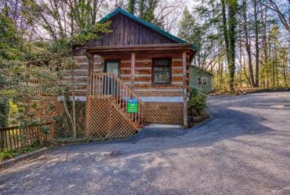 Linger Longer #1607 by Aunt Bug's Cabin Rentals Tennessee