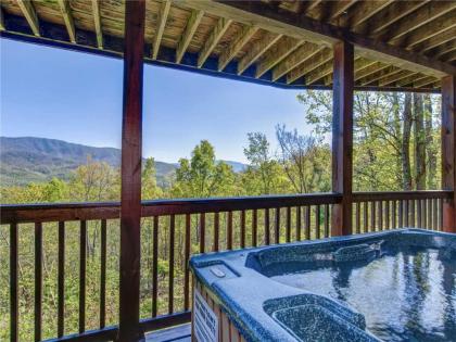 On Eagle's Wings 2 Bedrooms Sleeps 8 Hot Tub Theater Pool Access Tennessee