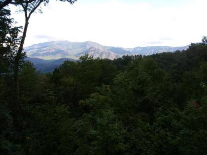 Smoky Mountain Dream - image 4