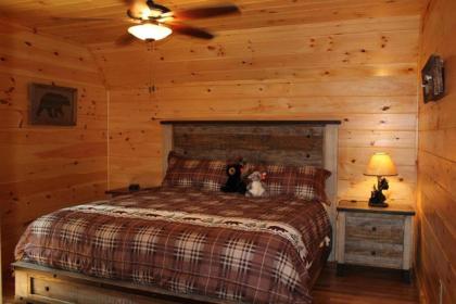Mountain Haven - Relax & enjoy AMAZING 180 Degree Views of Mt LeConte - image 20