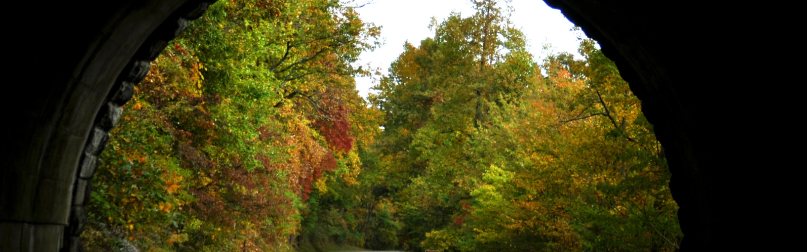 A Relaxing Road Trip Through the Smoky Mountains