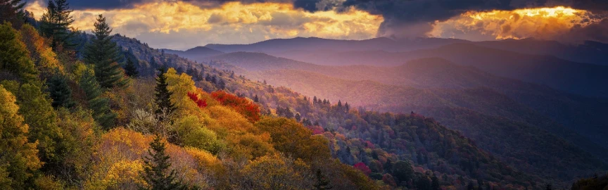 Beautiful Trails Near Gatlinburg for First-Time Hikers
