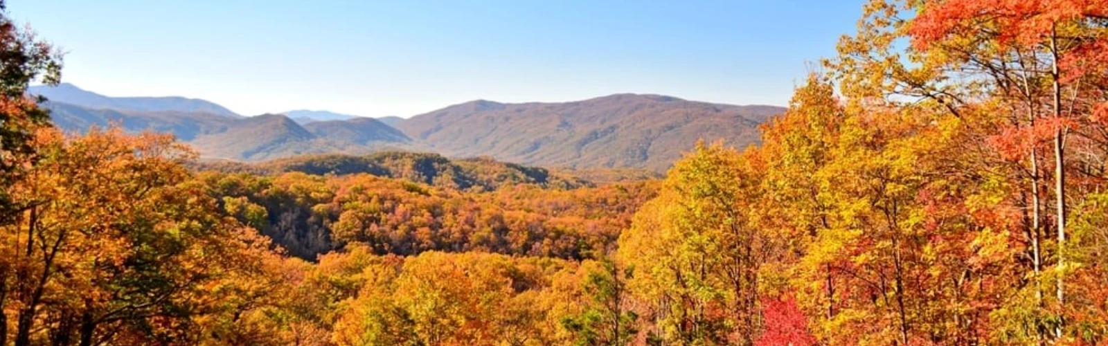 Best Picnic Spots in Gatlinburg for Families and Couples
