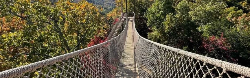 Best Places for a Peaceful Walk in Gatlinburg