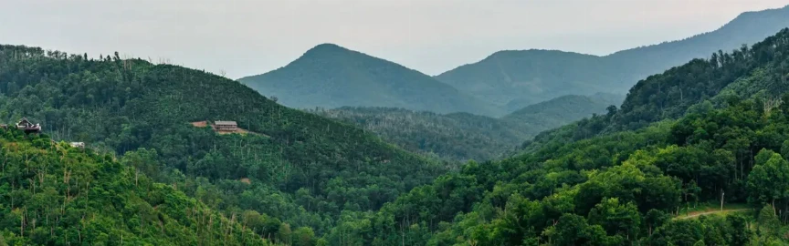 Best Scenic Spots to Visit Around Gatlinburg for Mountain Views and Memorable Drives