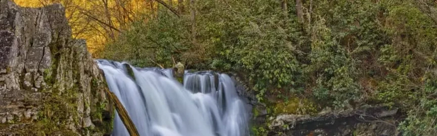 Best Short Hikes Around Gatlinburg