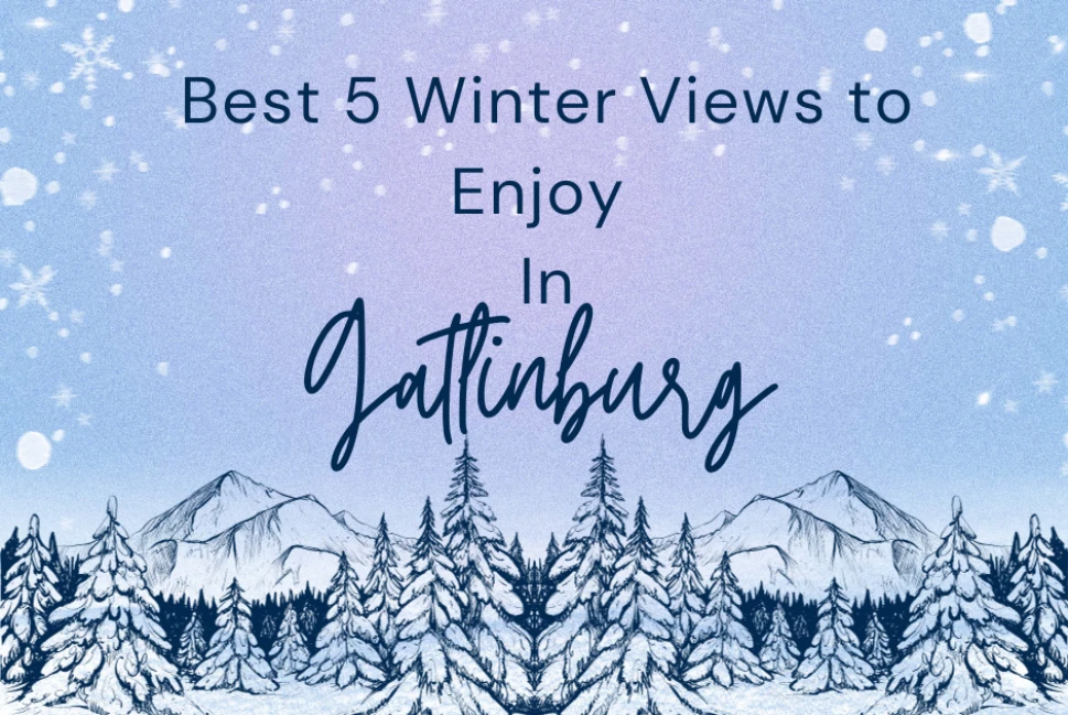 Captivating Winter Vistas: Gatlinburg's Top 5 Scenic Views