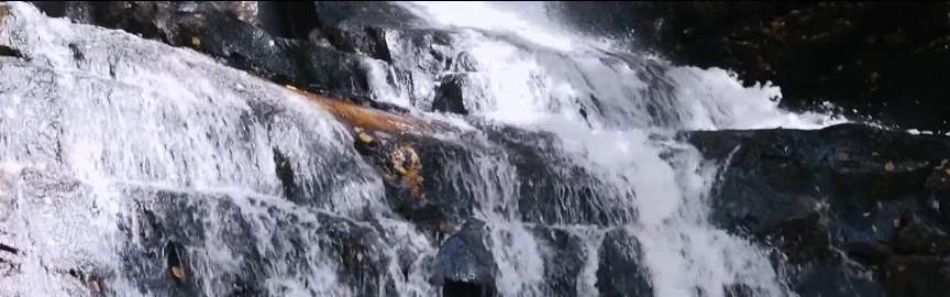 Easy Hiking Trails Near Gatlinburg for a Relaxed Day