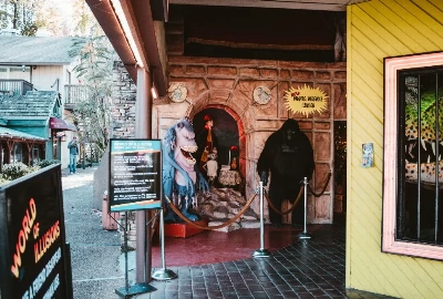 Exploring Gatlinburg: The 6 Must-Visit Museums for Your Next Trip