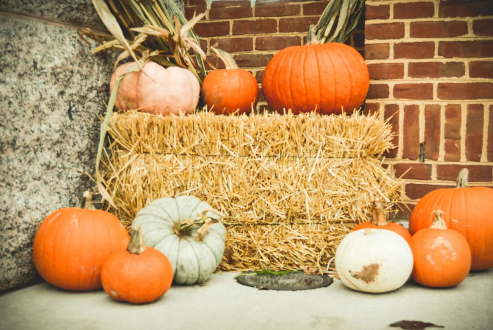 Fall in Gatlinburg: Pumpkin Patches and Harvest Happenings