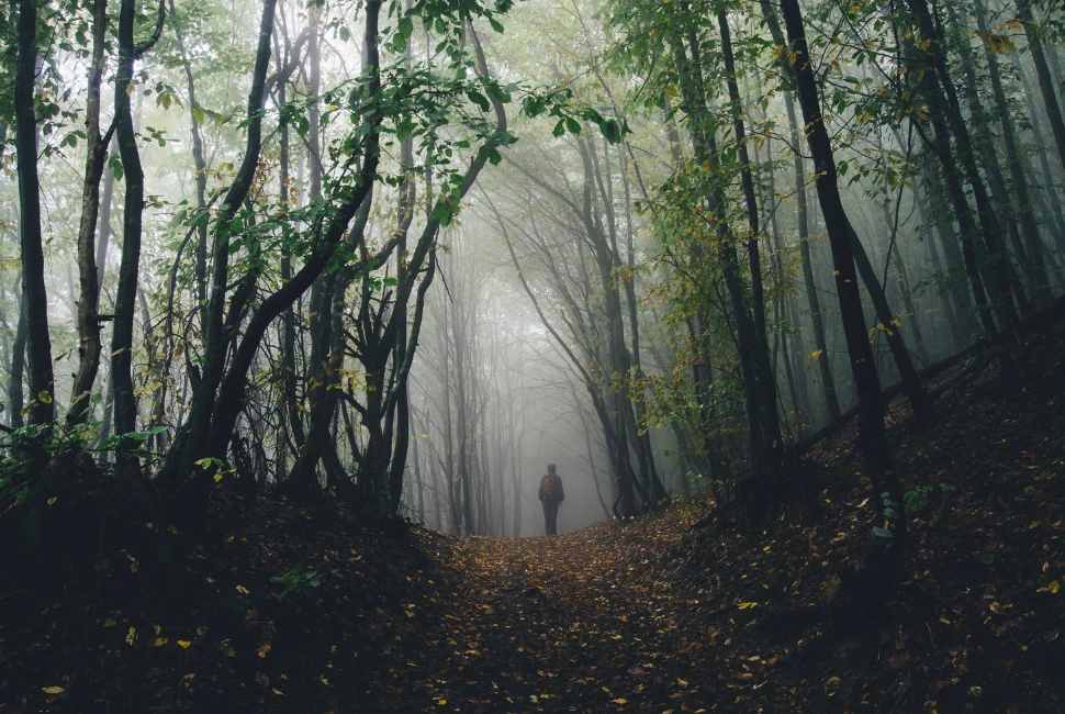 Gatlinburg Haunted Strolls: Spine-Chilling Walking Tours 