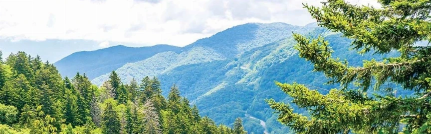 Gatlinburg Hiking & Scenic Adventures