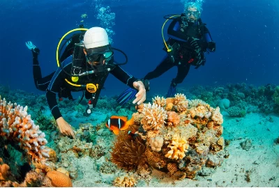 Gatlinburg Things To Do: Best Snorkeling Spots Unveiled