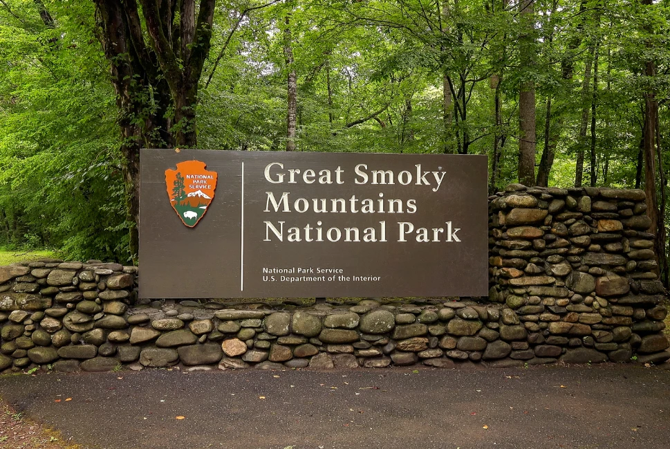 Guided Splendor: Exploring the Wonders of Great Smoky Mountains