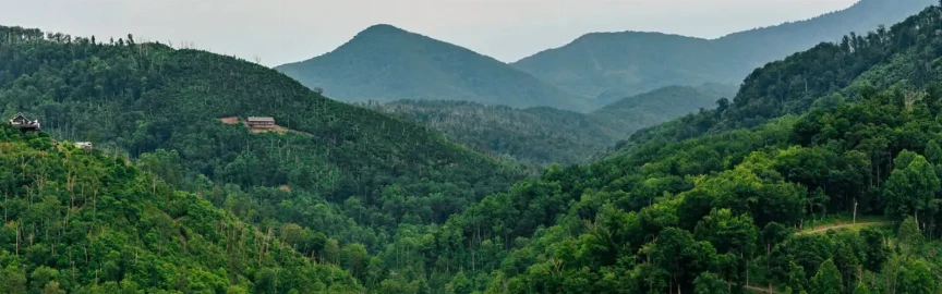 Hidden Corners of Downtown Gatlinburg Most Tourists Miss