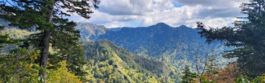 Hiking Near Gatlinburg When You Only Have a Few Hours