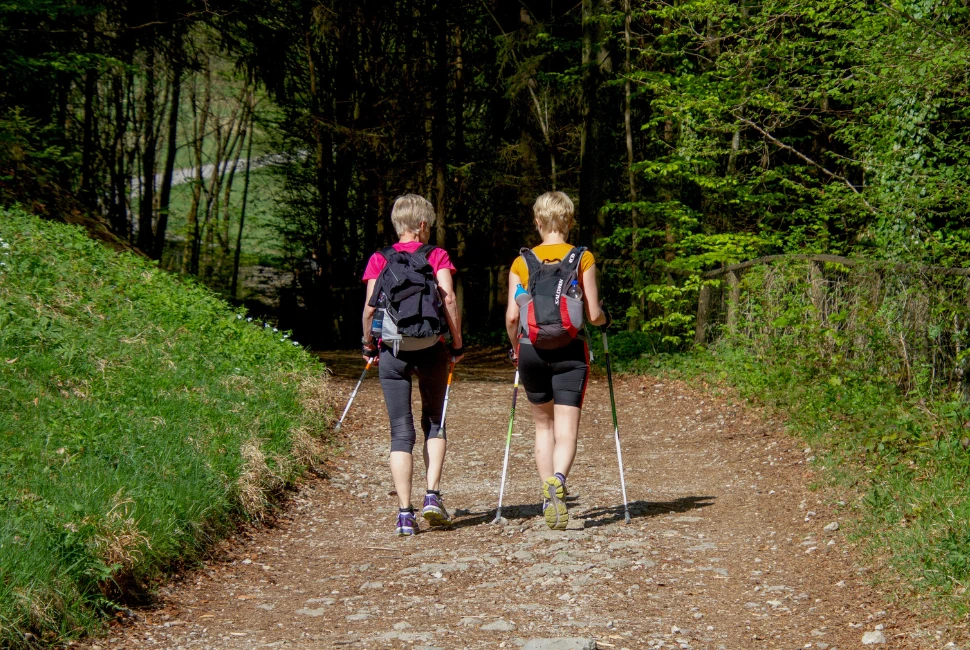 Kid-Friendly Gatlinburg Hiking Trails in the Smoky Mountains