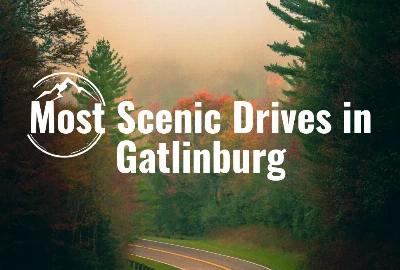 Natural Wonders Unveiled: Must-Visit Scenic Drives in Gatlinburg