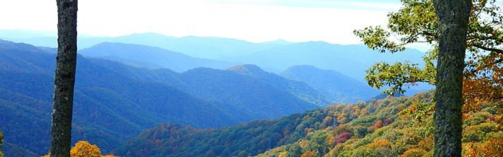 Nature Spots in Gatlinburg That Feel Like an Escape