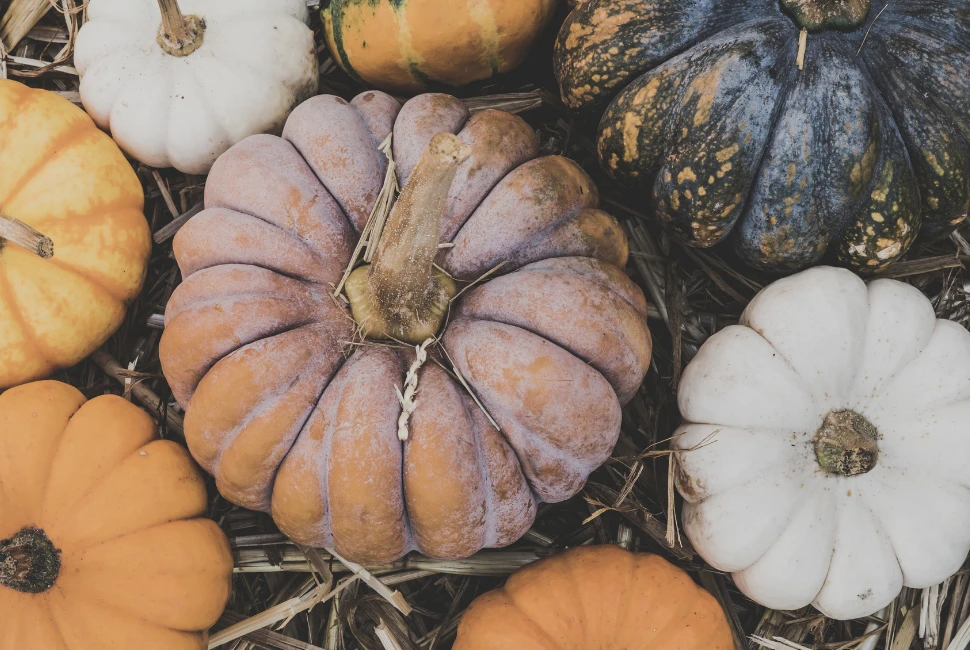 Pumpkin Spice Season: Autumn-Inspired Gatlinburg Food