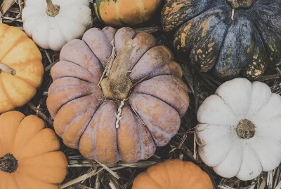 Pumpkin Spice Season: Autumn-Inspired Gatlinburg Food