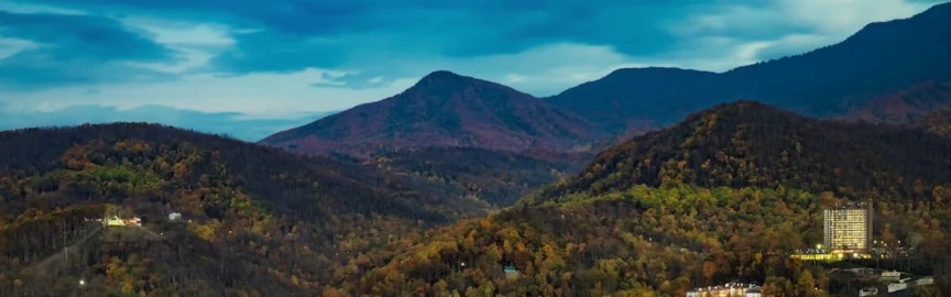 Scenic Hiking Trails to Explore Near Gatlinburg