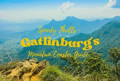 Speedy Thrills: Gatlinburg's Mountain Coaster Guide