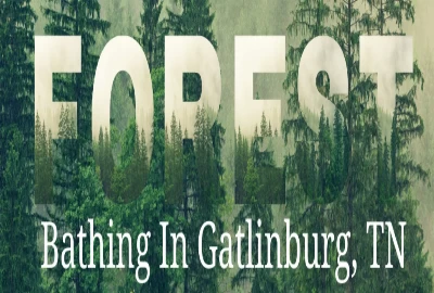 The Ultimate Guide To Gatlinburg's Forest Bathing: Must Do In Gatlinburg