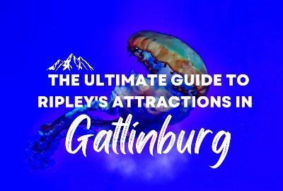 The Ultimate Guide to Ripley's Attractions in Gatlinburg 