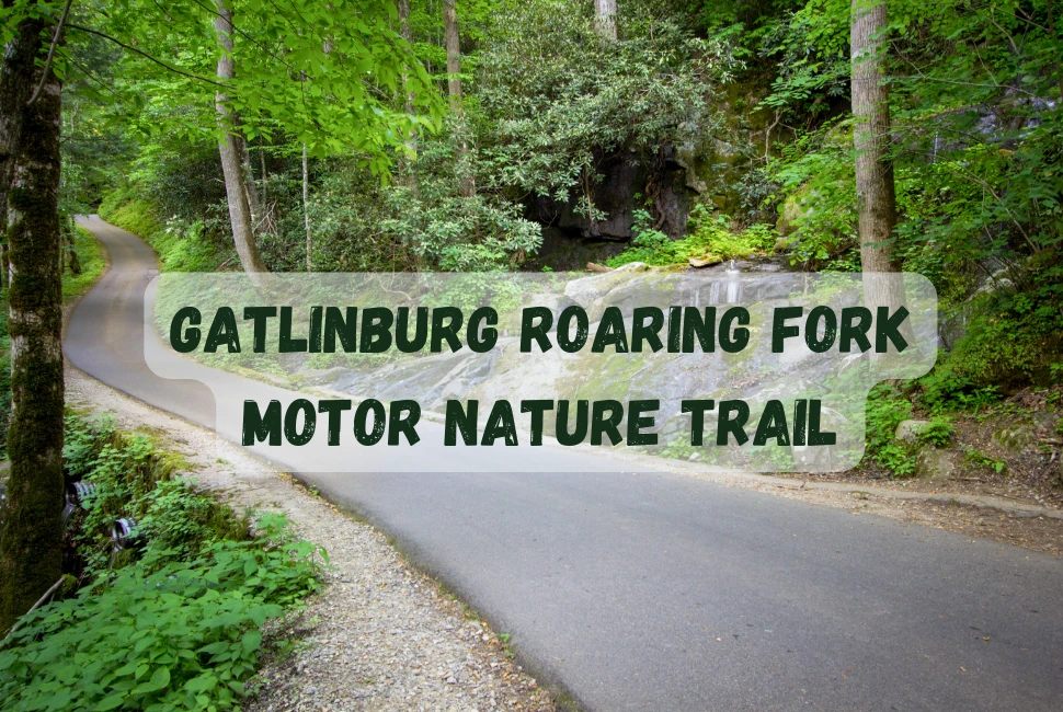 Things To Do In Gatlinburg Roaring Fork Motor Nature Trail