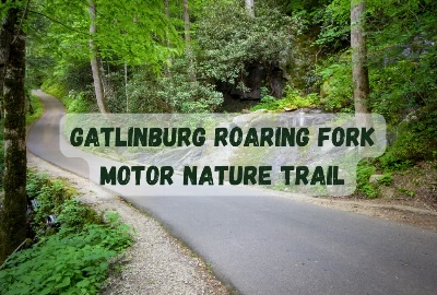 Things To Do In Gatlinburg Roaring Fork Motor Nature Trail