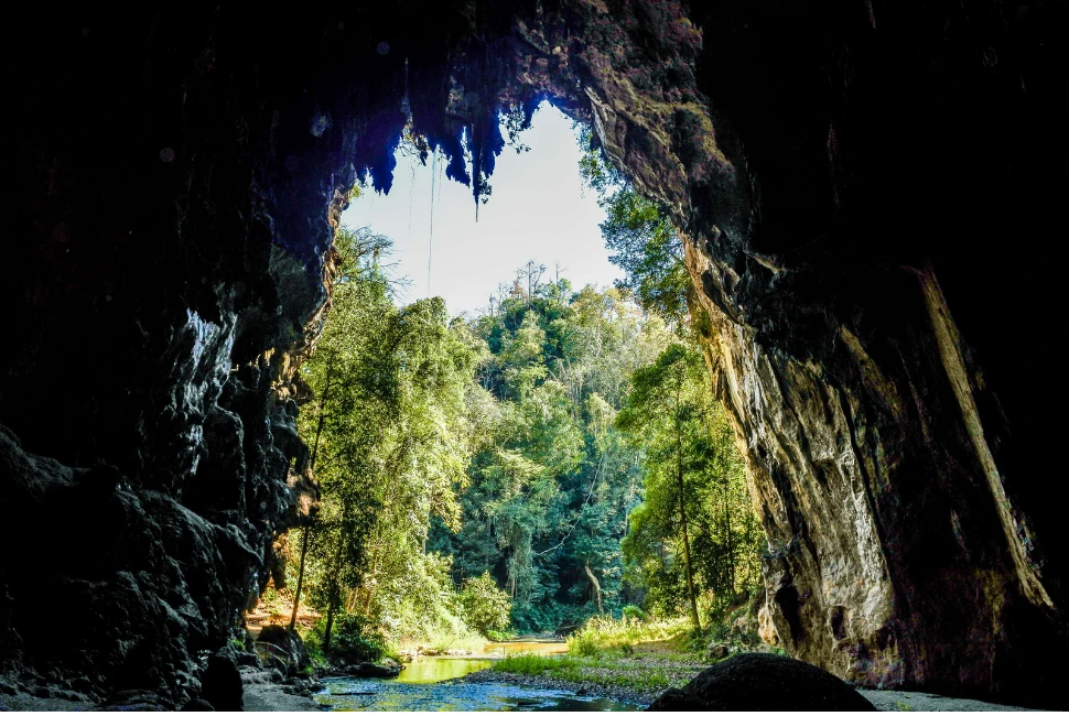 Unearthing Nature's Secrets: The 6 Most Captivating Caves in Gatlinburg