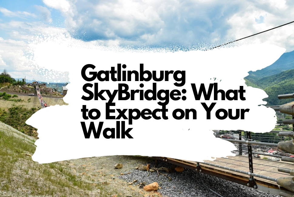 What to Expect on Your Walk on the Gatlinburg SkyBridge