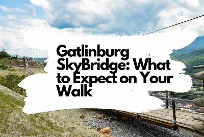 What to Expect on Your Walk on the Gatlinburg SkyBridge
