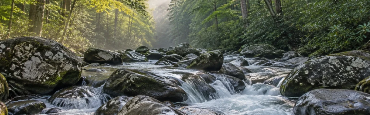 What to See Around Gatlinburg When You Want to Skip the Obvious