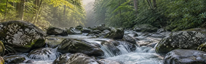 What to See Around Gatlinburg When You Want to Skip the Obvious